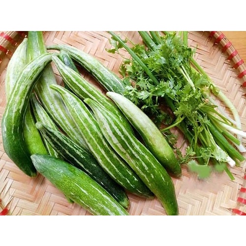 Hạt Giống Lặc lày F1 Nảy Mầm 100% 🌱🌱🌱