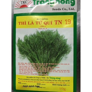 ⚡️HẠT GIỐNG RAU THÌ LÀ TỨ QUÝ F1⚡️ NĂNG XUẤT CAO SINH TRƯỞNG KHỎE CHỐNG CHỊU SÂU BỆNH