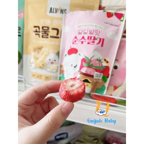 Trái cây/hoa quả khô sấy lạnh Hàn quốc cho bé ăn dặm