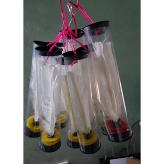 10 quả cầu đá đế đen, cầu lông