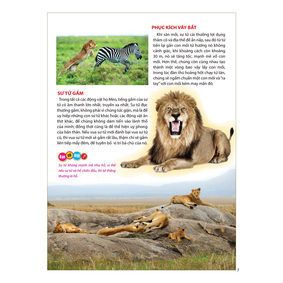 Sách - Atlas động vật - Vương quốc động vật