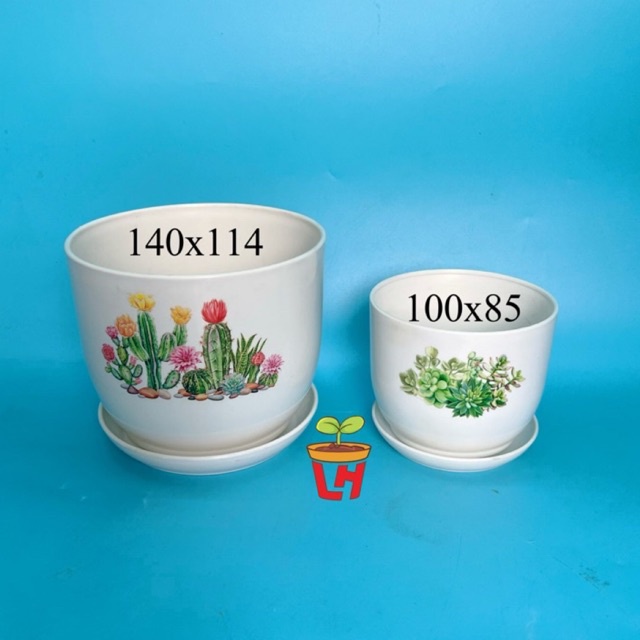 Chậu nhựa mini trồng sen đá , chậu nhựa mini, để bàn cao cấp dày dặn