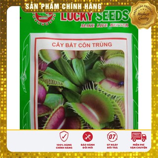 Hạt Giống Cây Bắt Côn Trùng - 5 hạt