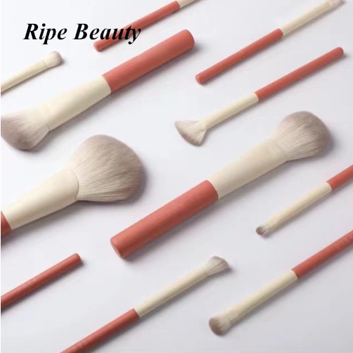 Bộ Cọ Trang Điểm 12 Cây Siêu Mềm Mịn Túi Da Sang Trọng Chuyên Nghiệp Loại Đẹp
