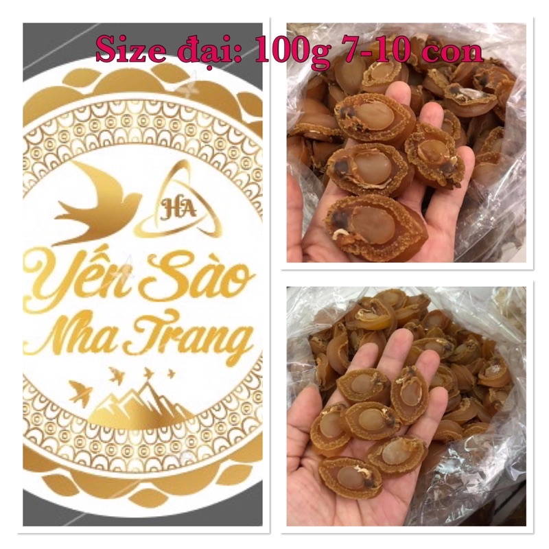 Ng100g bào ngư xuất khẩu size đại