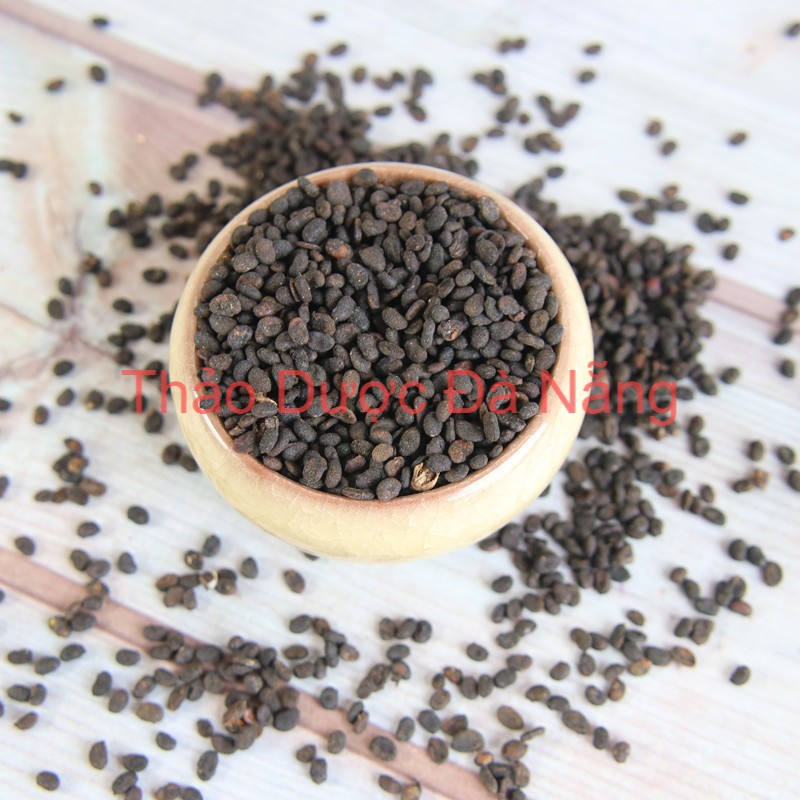 1 Kg Phá Cố Chỉ (Bổ Cốt Chỉ) thơm,sạch.