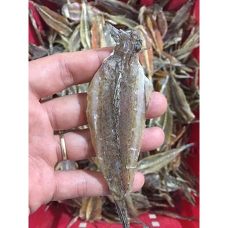 Gói 500g Khô cá chai (cá chai khô) nguyên con đã bỏ xương thịt ngọt mặn chuẩn ngon đảm bảo ATVSTP_Đặc sản xứ Nghệ