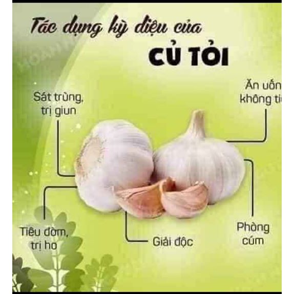 1Kg Tỏi Lý Sơn chính hiệu giá 120.000 đồng.