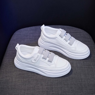 Giày nữ Sneaker Top Shoes B711