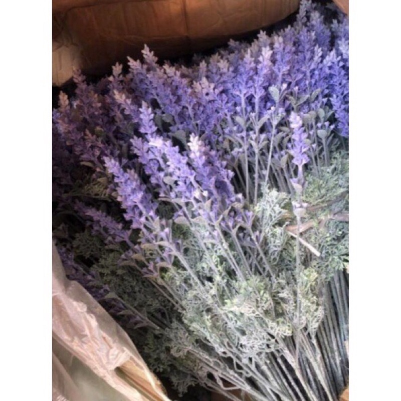 Hoa giả decor hoa giả trang trí lavender, oải hương phủ tuyết sang trọng bền đẹp , hàng sẵn
