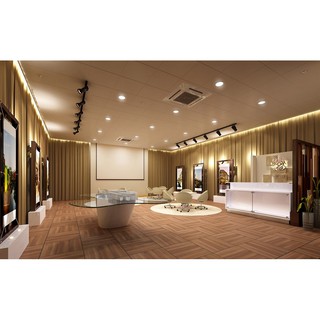 Đèn Led Downlight Âm Trần Philips 59202