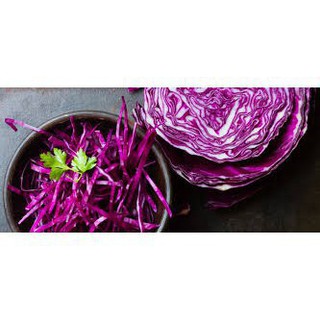 Gói 50 hạt giống bắp cải tím