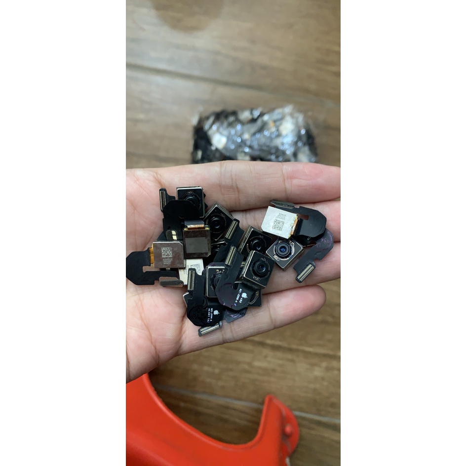 cam sau 6plus zin