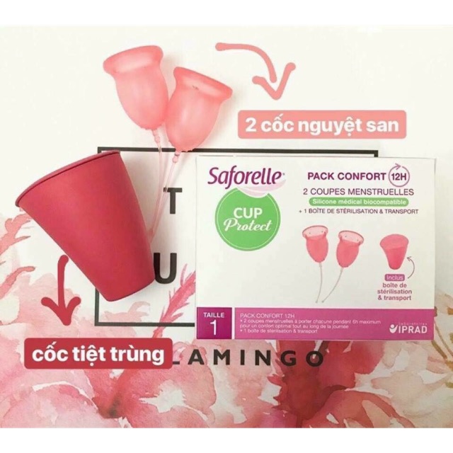 set cốc nguyệt san saforelle
