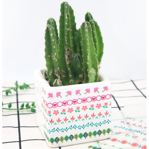 SET STICKER ngăn dòng siêu cưng - dividing sticker