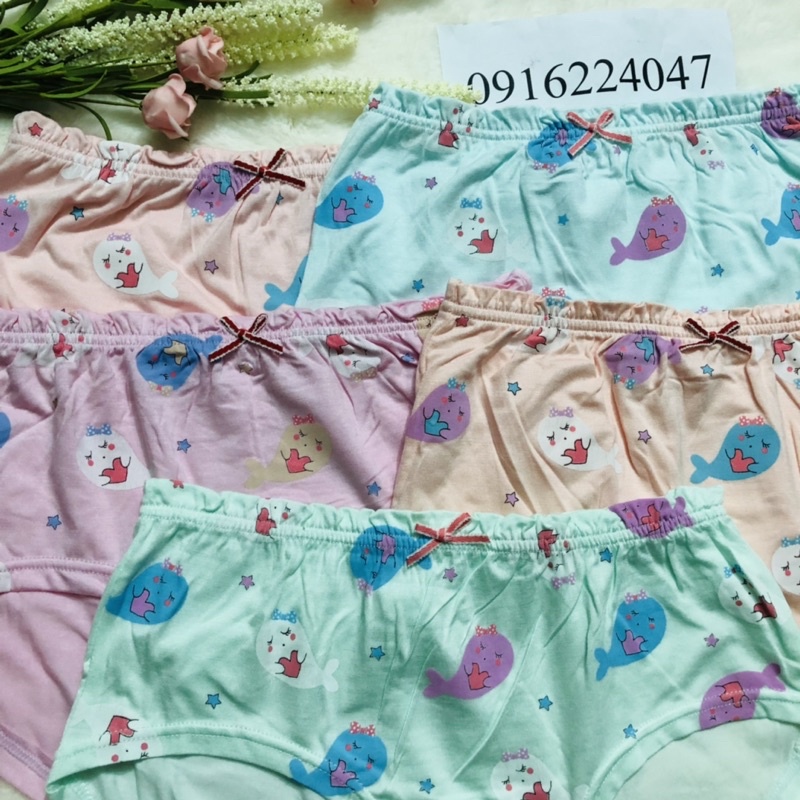 Set 5 Quần lót bé gái đủ size đến 60kg, quần chíp trẻ em cotton mềm mát cao cấp