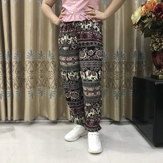 Quần Lanh Voi Bo Gấu
