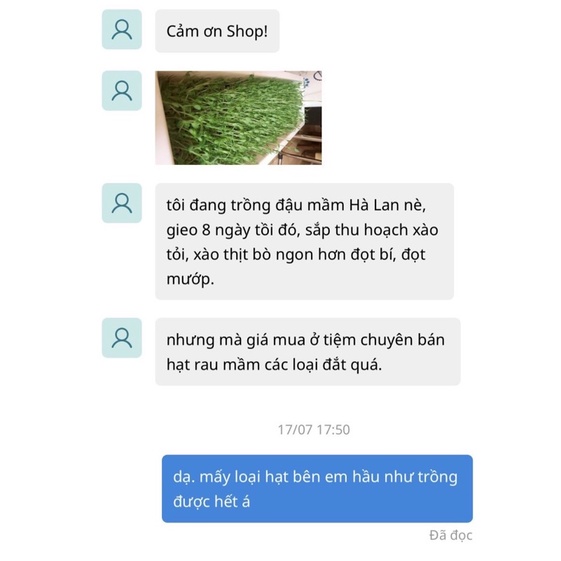 Đậu hà lan nguyên hạt 1kg
