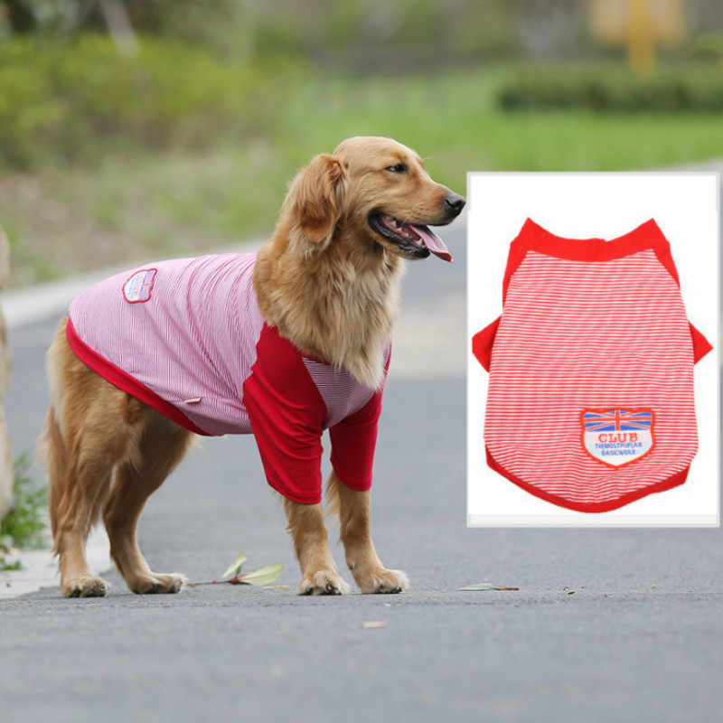 Áo mặc mùa hè thoáng khí cho thú cưng