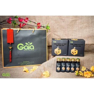 Đông trùng hạ thảo mật ong Gaia- Tăng cường đề kháng, sức khỏe cho Hệ Hô hấp, phổi