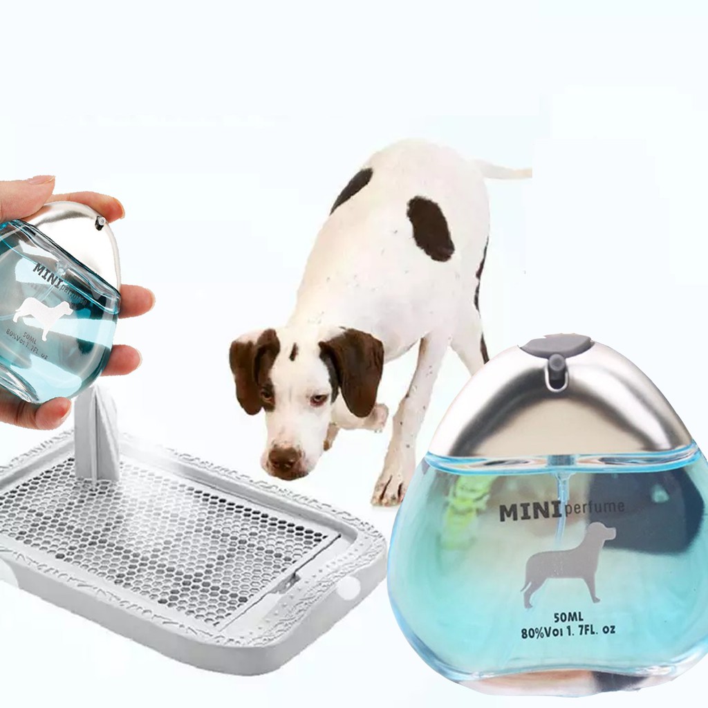 Nước Hoa mini Perfume dành cho thú cưng - Petcare