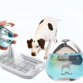 Nước Hoa mini Perfume dành cho thú cưng - Petcare