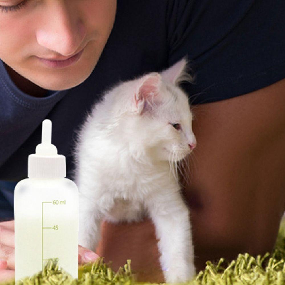 Bình Uống Nước Kèm Cọ Vệ Sinh Cho Thú Cưng