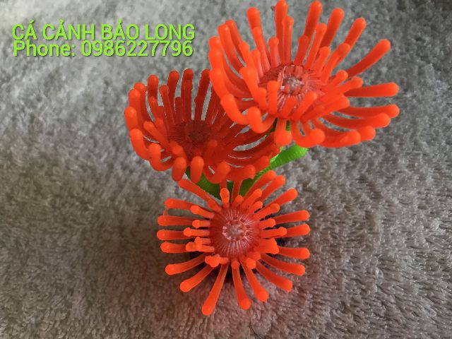 Hải quỳ nhựa dẻo trang trí bể cá