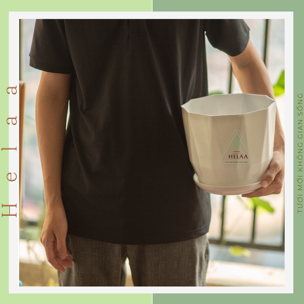 Chậu Nhựa Có Dĩa Kim Cương, Chậu Trồng Hoa Liền Đĩa, Cây Cảnh, Ban Công, Bàn Làm Việc Văn Phòng - 21x21cm