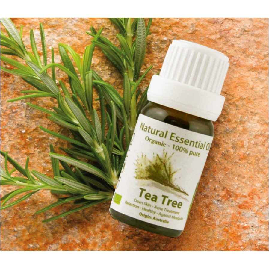 TINH DẦU XÔNG TRÀM TRÀ ÚC - TINH DẦU TEA TREE