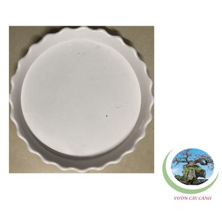 Đĩa lót chậu tròn khía phi 26cm - #055c#
