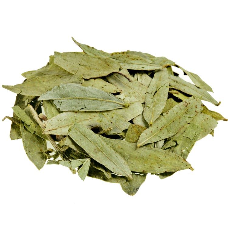 Lá Cây Phan Tả Diệp Hàng Đẹp - Loại 500gr