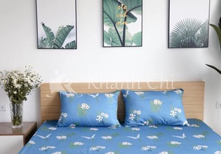 Bộ chăn ga gối cotton lụa Hàn Quốc