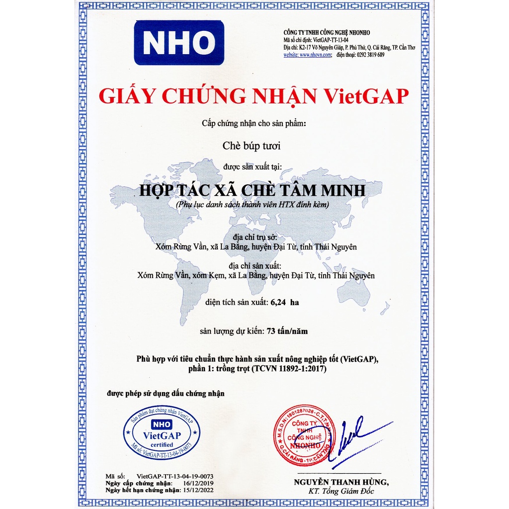 Trà Thái Nguyên móc câu xanh ngon đặc biệt loại 1 TÂM MINH PHÚC