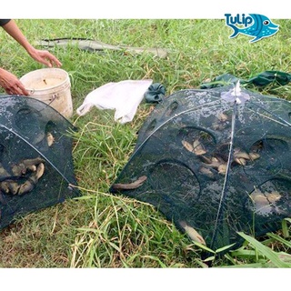 Lưới Bắt Cá Bấy Bắt Cá 8 Cửa
