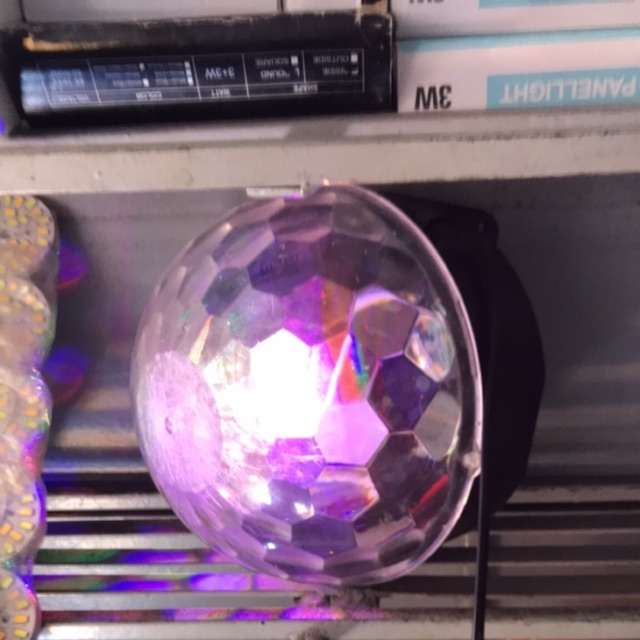 Nấm cầu to 7 màu