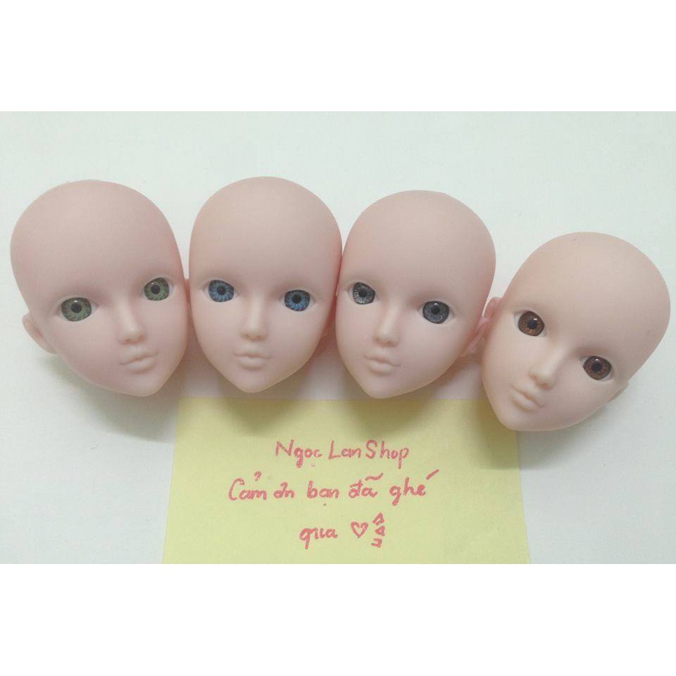 Các loại đầu Xinyi chưa trang điểm