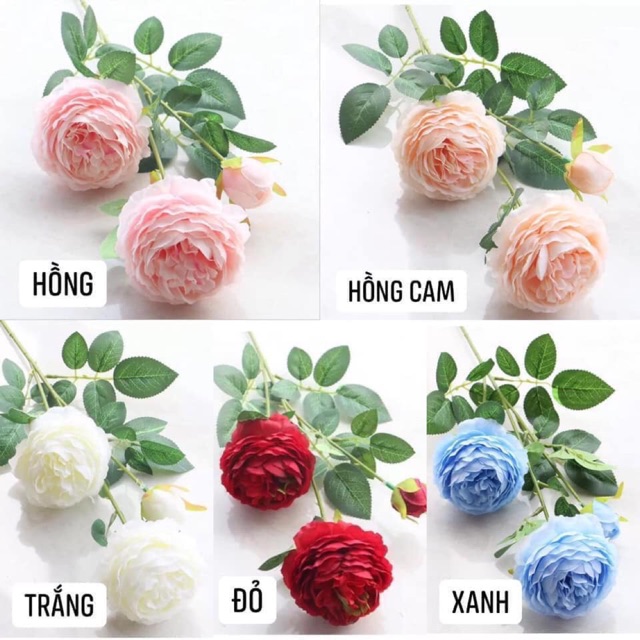 Hoa lụa - chị sương