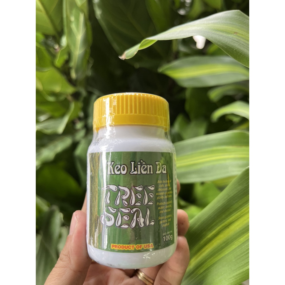 Keo liền da Mỹ TREE SEAL Morrisons, Keo liền sẹo cây chai 100gr