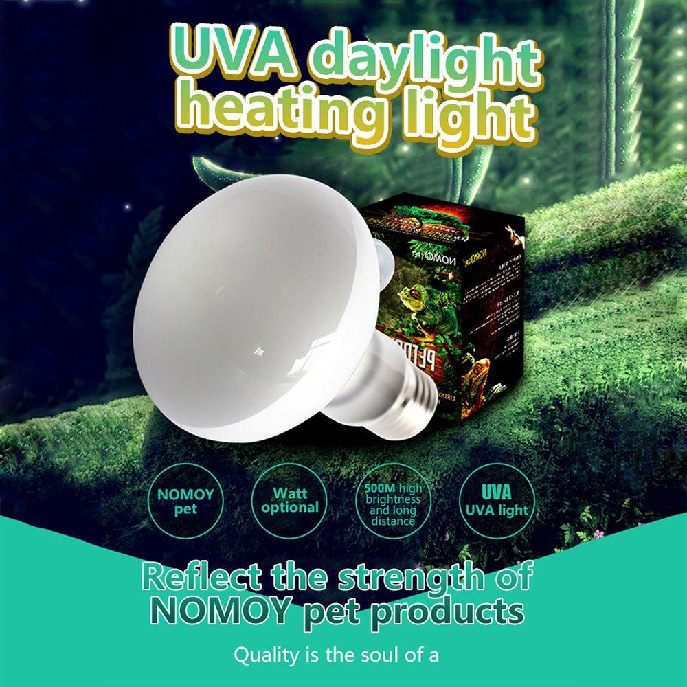 Augustine Bóng Đèn Halogen Điều Khiển Nhiệt Độ UVA