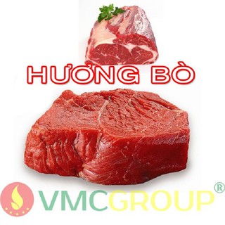 HƯƠNG THỊT BÒ DẠNG BỘT STD