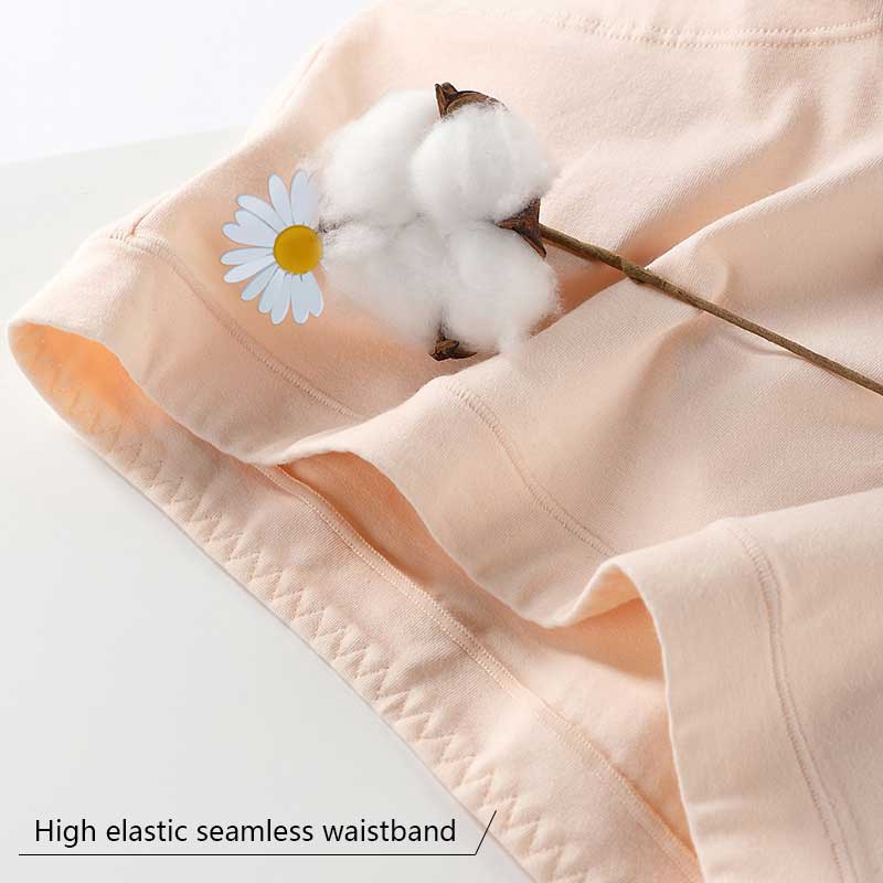 Quần Lót Cotton Thoải Mái Trang Trí Họa Tiết Hoa Cúc Cho Nữ | BigBuy360 - bigbuy360.vn