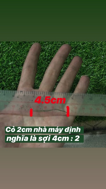 Thảm cỏ nhân tạo 2cm ( 1 cây 50m2 )