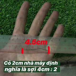 Thảm cỏ nhân tạo ( 1 cuộn 50m2 )