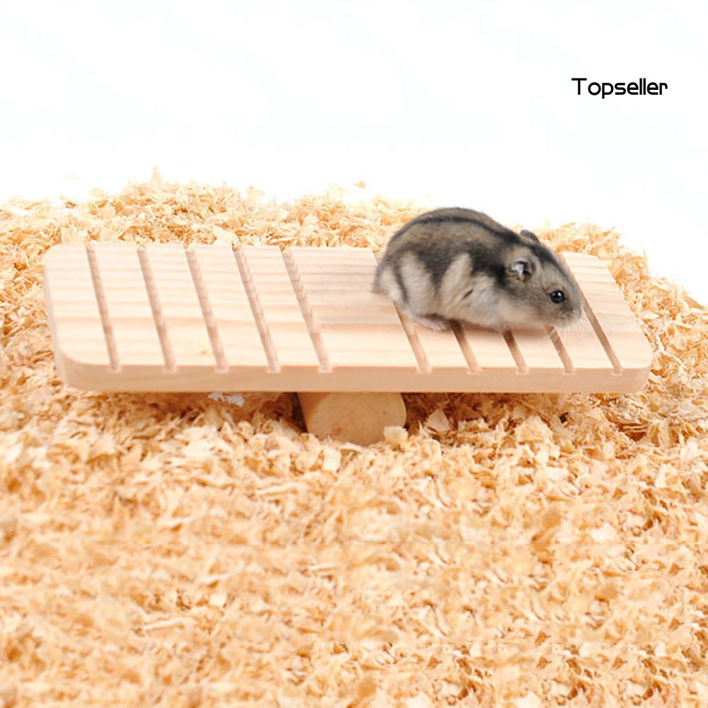 Đồ Chơi Bằng Gỗ Tự Làm Cho Chuột Hamster