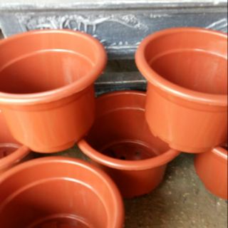 Sét 20 chiếc chậu trồng cây hoa rộng 24cm cao 17cm
