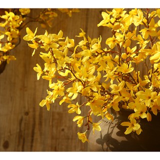 Cành Mai Mỹ-hoa lụa trang trí cao 90cm