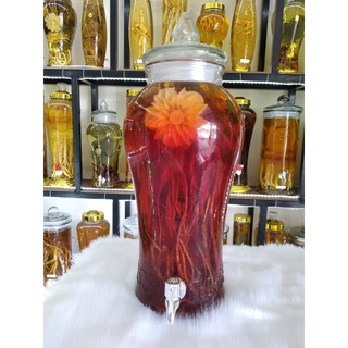 Đan sâm tươi 1kg