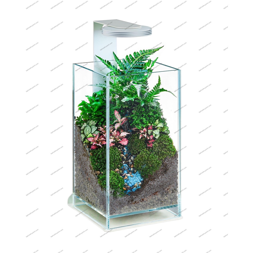 aquatic giá tốt Tháng 8, 2022 | Mua ngay | Shopee Việt Nam aquatic giá tốt Tháng 8, 2022 | Mua ngay | Shopee Việt Nam