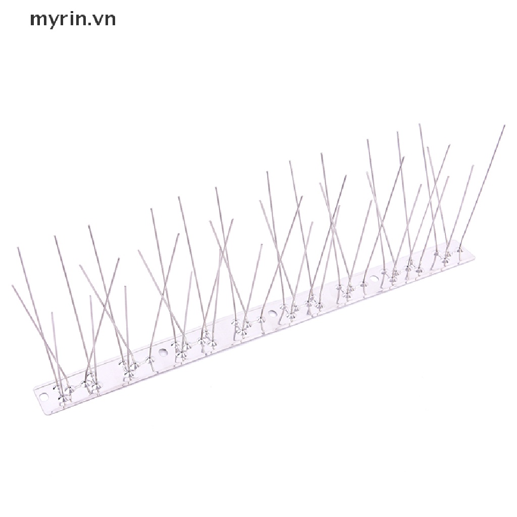 Hàng Rào Đinh Bằng Thép Không Gỉ Chống Chim Bồ Câu